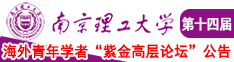 啊啊啊~鸡扒好大快来操我视频南京理工大学第十四届海外青年学者紫金论坛诚邀海内外英才！